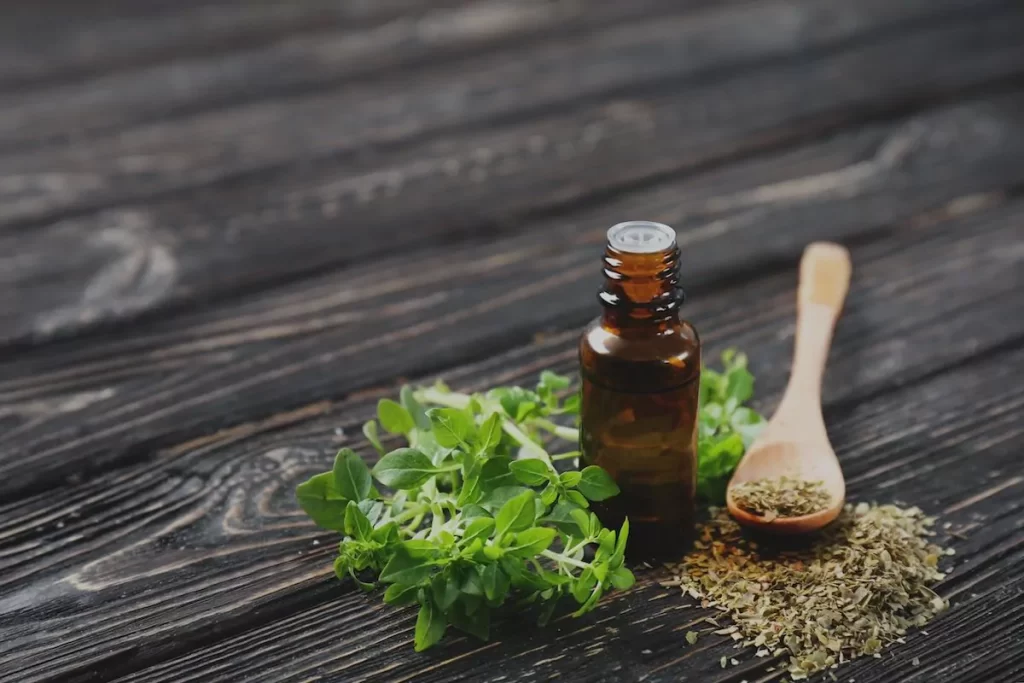 Oregano Oil